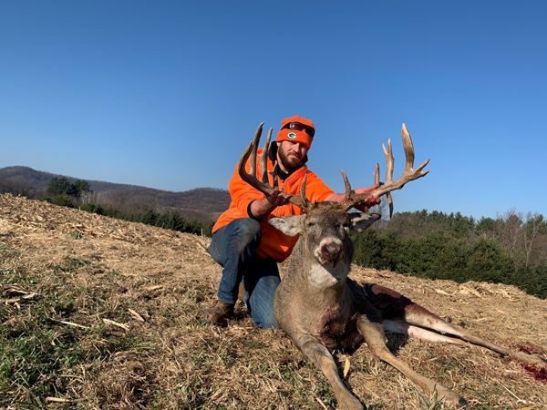 Brute buck